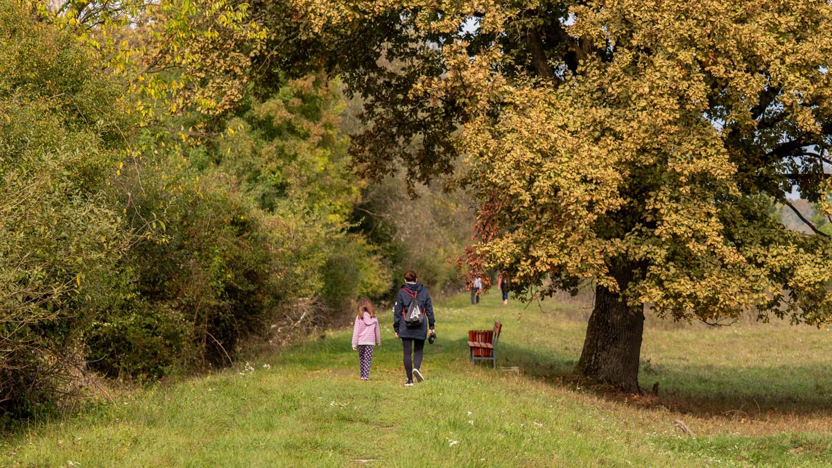 A scenic autumn walk in Kaniška Iva, Croatia with lush foliage and golden leaves.